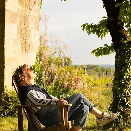 Chateau Au Coeur Du Domaine Viticole