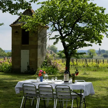 Chateau Au Coeur Du Domaine Viticole Tatil Evi Saint-Émilion